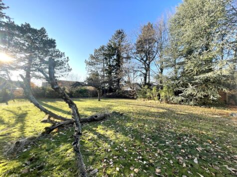 Sonniges Grundstück in idyllischer Sackgassenlage, 22043 Hamburg, Grundstück